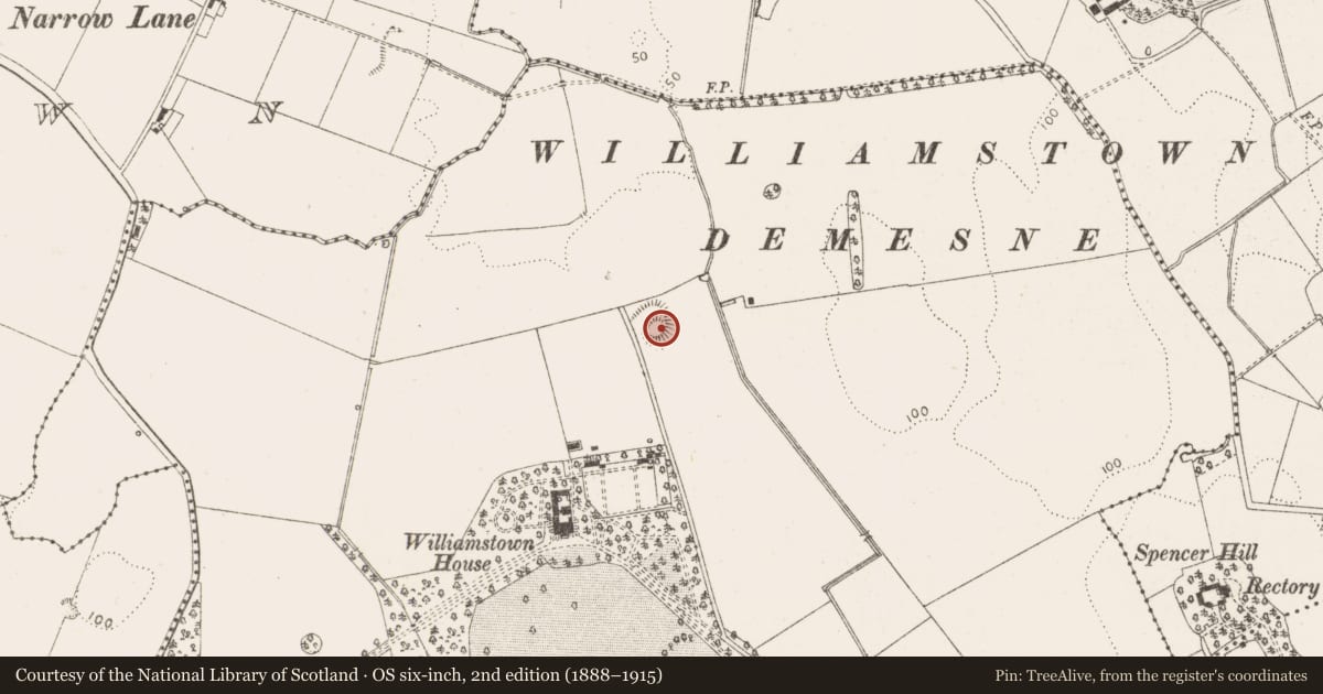 Ordnance Survey six-inch map, 2nd edition (1888–1915) covering the location of Enclosure, Williamstown, County Louth, with a pin at the register's coordinates