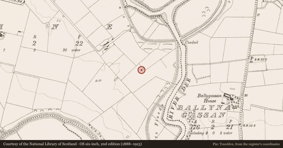 Ordnance Survey six-inch map, 2nd edition (1888–1915) covering the location of Ring-ditch, Maine, County Louth, with a pin at the register's coordinates