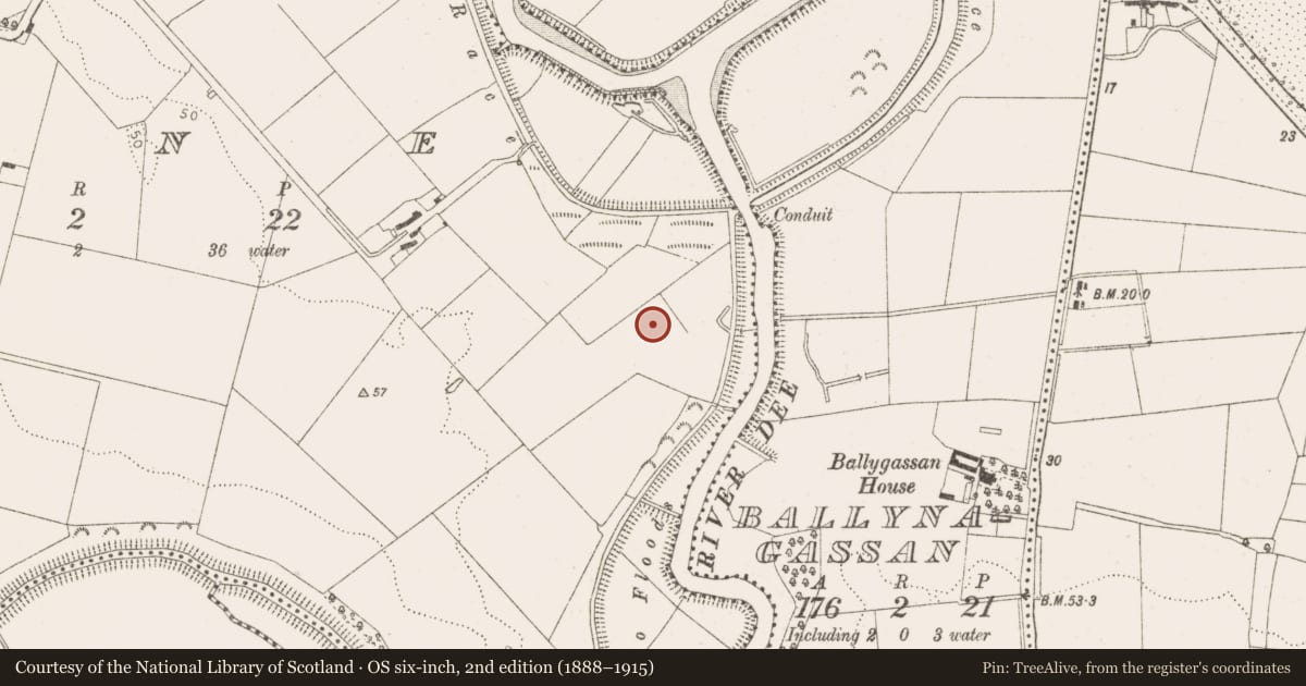 Ordnance Survey six-inch map, 2nd edition (1888–1915) covering the location of Ring-ditch, Maine, County Louth, with a pin at the register's coordinates