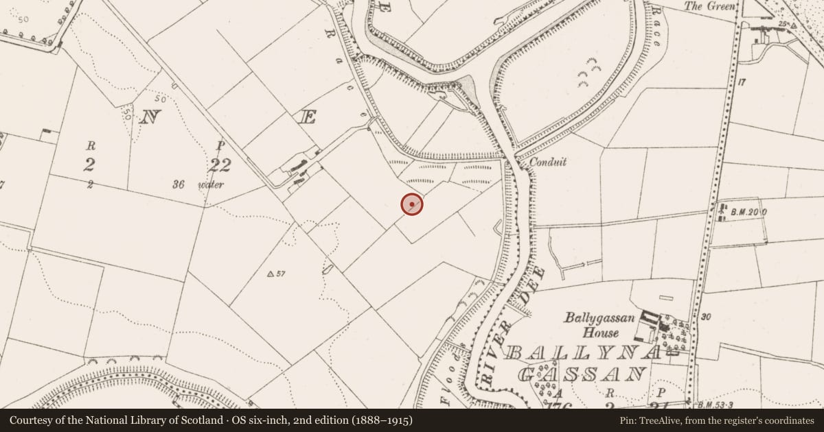 Ordnance Survey six-inch map, 2nd edition (1888–1915) covering the location of Enclosure, Maine, County Louth, with a pin at the register's coordinates