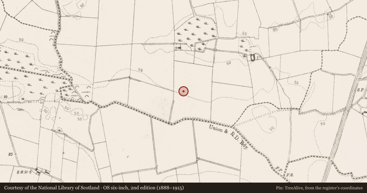 Ordnance Survey six-inch map, 2nd edition (1888–1915) covering the location of Enclosure - large enclosure, Newrath (Louth By., Dromiskin Par.), County Louth, with a pin at the register's coordinates