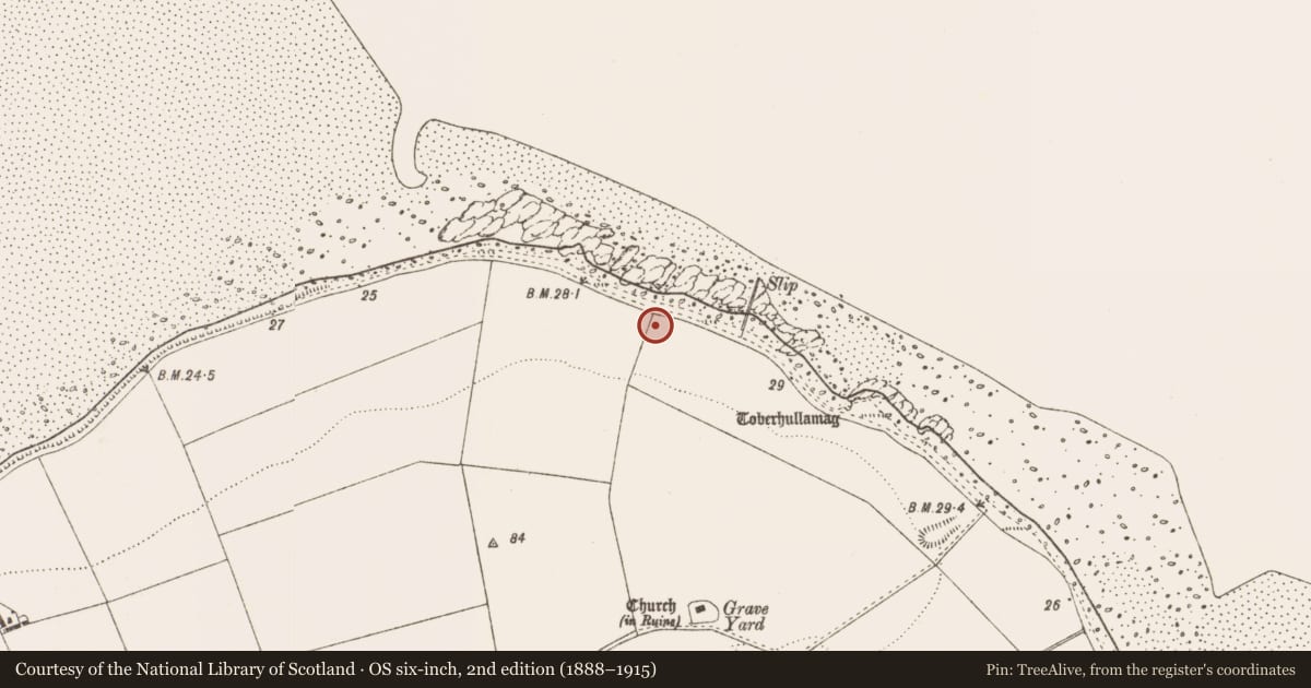 Ordnance Survey six-inch map, 2nd edition (1888–1915) covering the location of Mine, Salterstown, County Louth, with a pin at the register's coordinates