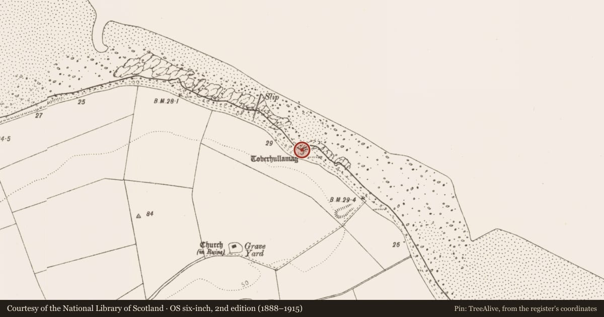 Ordnance Survey six-inch map, 2nd edition (1888–1915) covering the location of Ritual site - holy well, Salterstown, County Louth, with a pin at the register's coordinates