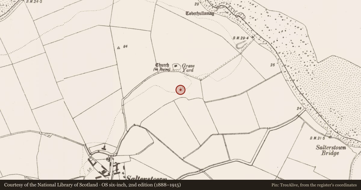 Ordnance Survey six-inch map, 2nd edition (1888–1915) covering the location of Enclosure, Salterstown, County Louth, with a pin at the register's coordinates