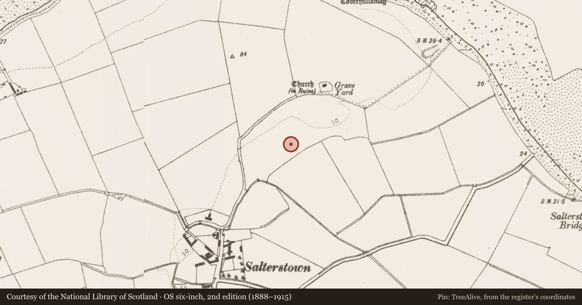 Ordnance Survey six-inch map, 2nd edition (1888–1915) covering the location of Field system, Salterstown, County Louth, with a pin at the register's coordinates
