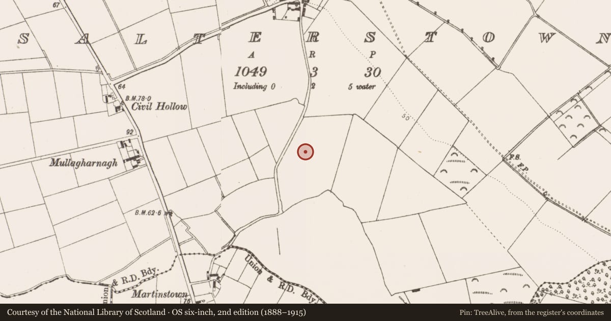 Ordnance Survey six-inch map, 2nd edition (1888–1915) covering the location of Ring-ditch, Salterstown, County Louth, with a pin at the register's coordinates