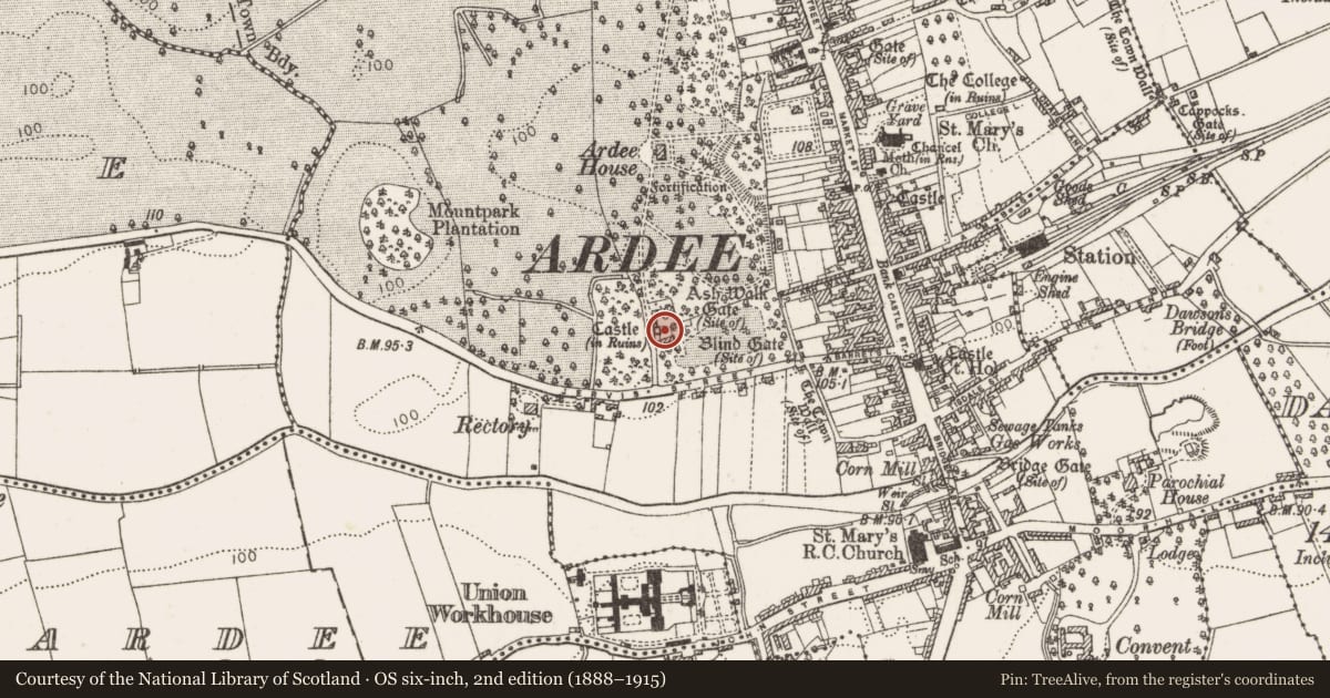 Ordnance Survey six-inch map, 2nd edition (1888–1915) covering the location of Castle - tower house, Townparks, County Louth, with a pin at the register's coordinates