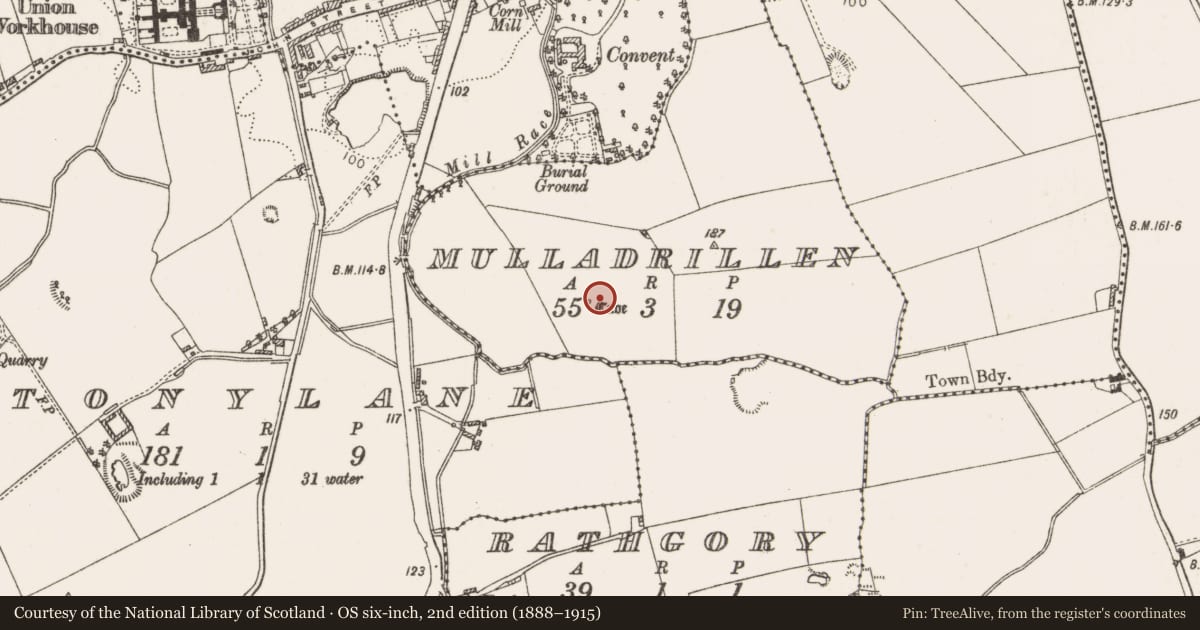 Ordnance Survey six-inch map, 2nd edition (1888–1915) covering the location of Souterrain, Mulladrillen, County Louth, with a pin at the register's coordinates