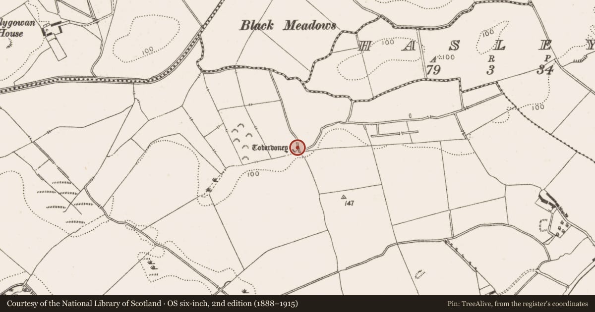 Ordnance Survey six-inch map, 2nd edition (1888–1915) covering the location of Ritual site - holy well, Shanlis, County Louth, with a pin at the register's coordinates