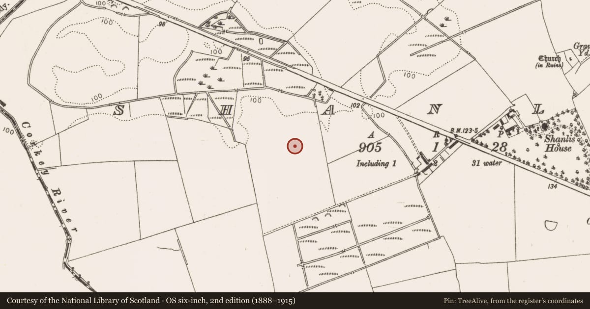 Ordnance Survey six-inch map, 2nd edition (1888–1915) covering the location of Enclosure, Shanlis, County Louth, with a pin at the register's coordinates