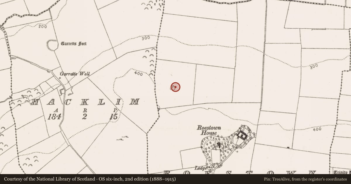 Ordnance Survey six-inch map, 2nd edition (1888–1915) covering the location of Barrow - unclassified, Roestown, County Louth, with a pin at the register's coordinates