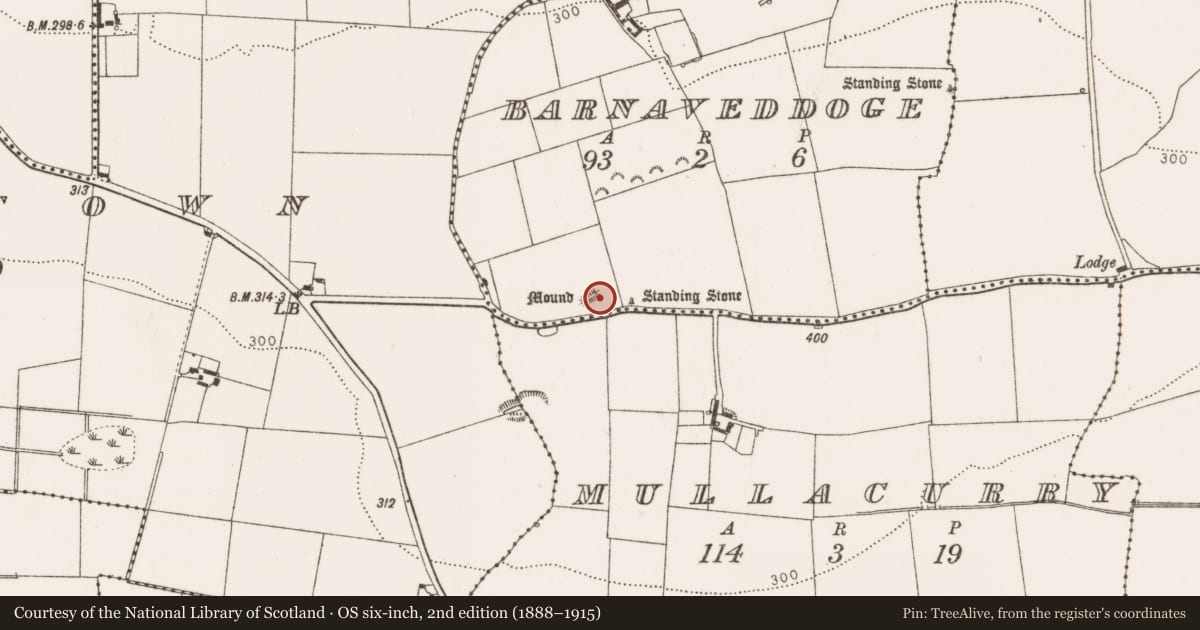 Ordnance Survey six-inch map, 2nd edition (1888–1915) covering the location of Mound, Barnaveddoge, County Louth, with a pin at the register's coordinates