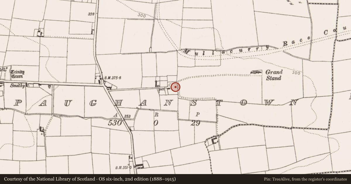 Ordnance Survey six-inch map, 2nd edition (1888–1915) covering the location of Souterrain, Paughanstown (Ardee by, County Louth, with a pin at the register's coordinates