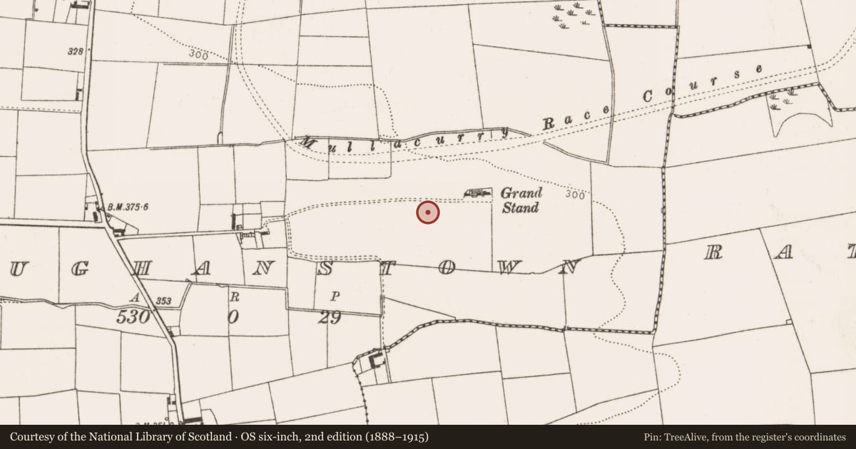 Ordnance Survey six-inch map, 2nd edition (1888–1915) covering the location of Souterrain, Paughanstown (Ardee by, County Louth, with a pin at the register's coordinates