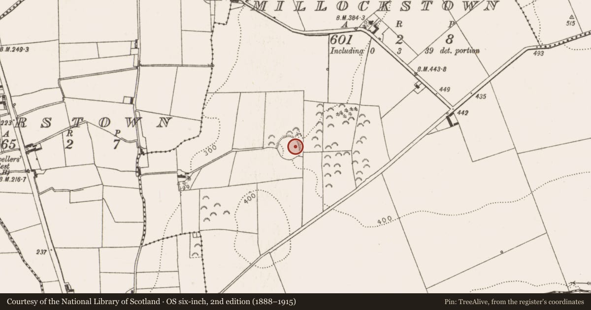 Ordnance Survey six-inch map, 2nd edition (1888–1915) covering the location of Ringfort - rath, Millockstown, County Louth, with a pin at the register's coordinates