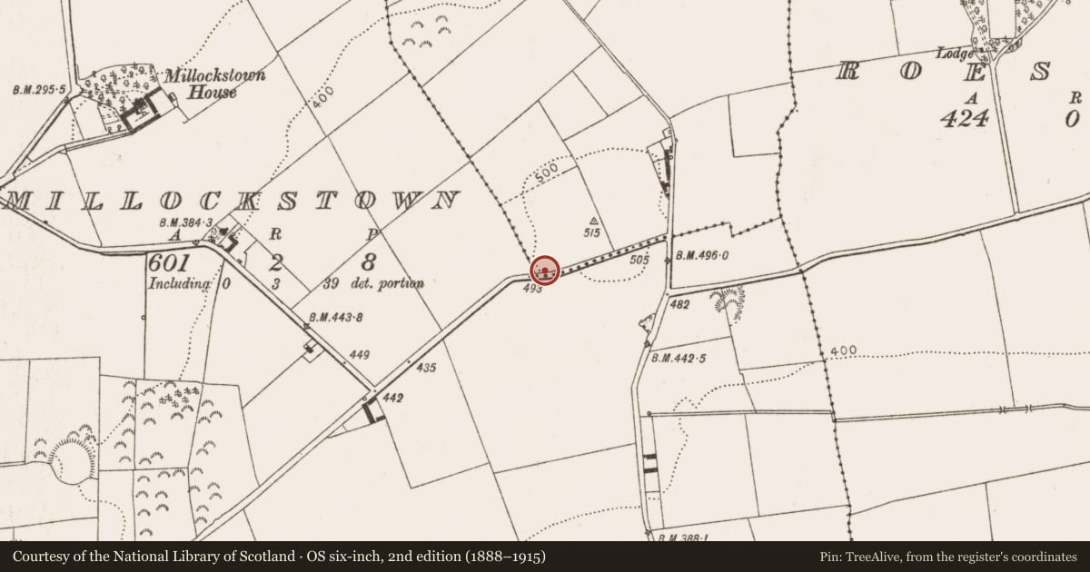 Ordnance Survey six-inch map, 2nd edition (1888–1915) covering the location of Standing stone, Millockstown, County Louth, with a pin at the register's coordinates