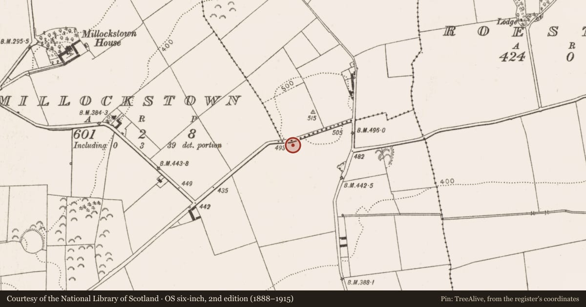 Ordnance Survey six-inch map, 2nd edition (1888–1915) covering the location of Standing stone, Millockstown, County Louth, with a pin at the register's coordinates