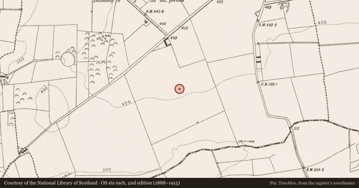 Ordnance Survey six-inch map, 2nd edition (1888–1915) covering the location of Souterrain, Millockstown, County Louth, with a pin at the register's coordinates