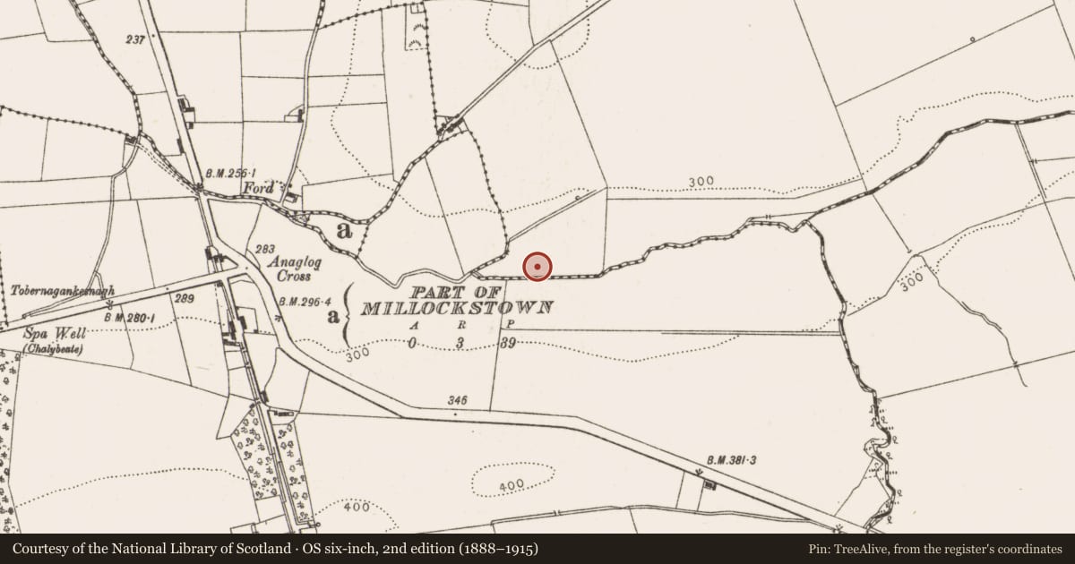 Ordnance Survey six-inch map, 2nd edition (1888–1915) covering the location of Fulacht fia, Millockstown, County Louth, with a pin at the register's coordinates