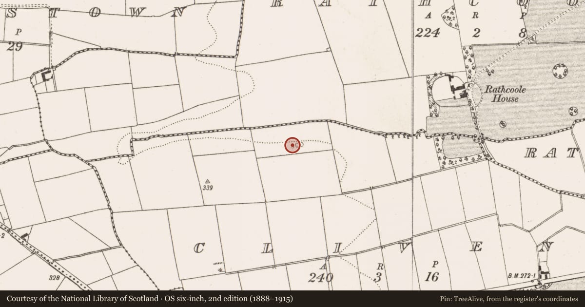 Ordnance Survey six-inch map, 2nd edition (1888–1915) covering the location of Souterrain, Cliven, County Louth, with a pin at the register's coordinates