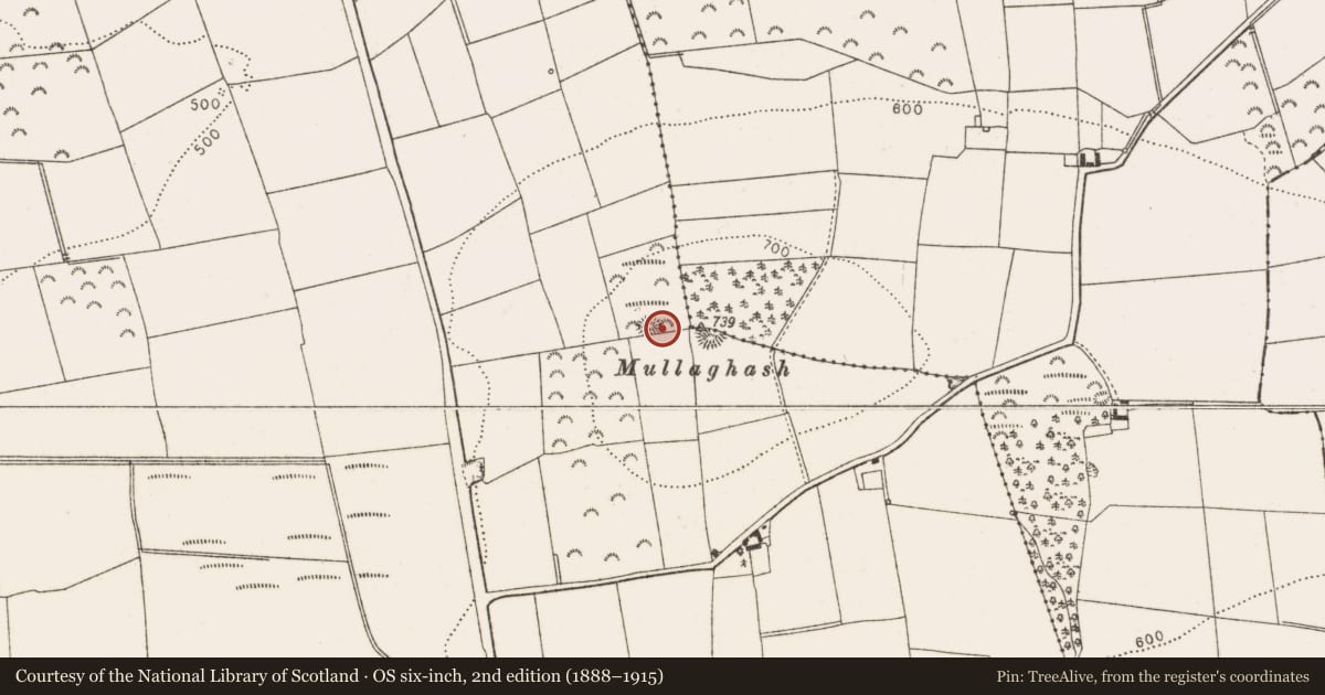 Ordnance Survey six-inch map, 2nd edition (1888–1915) covering the location of Barrow - unclassified, Belpatrick, County Louth, with a pin at the register's coordinates