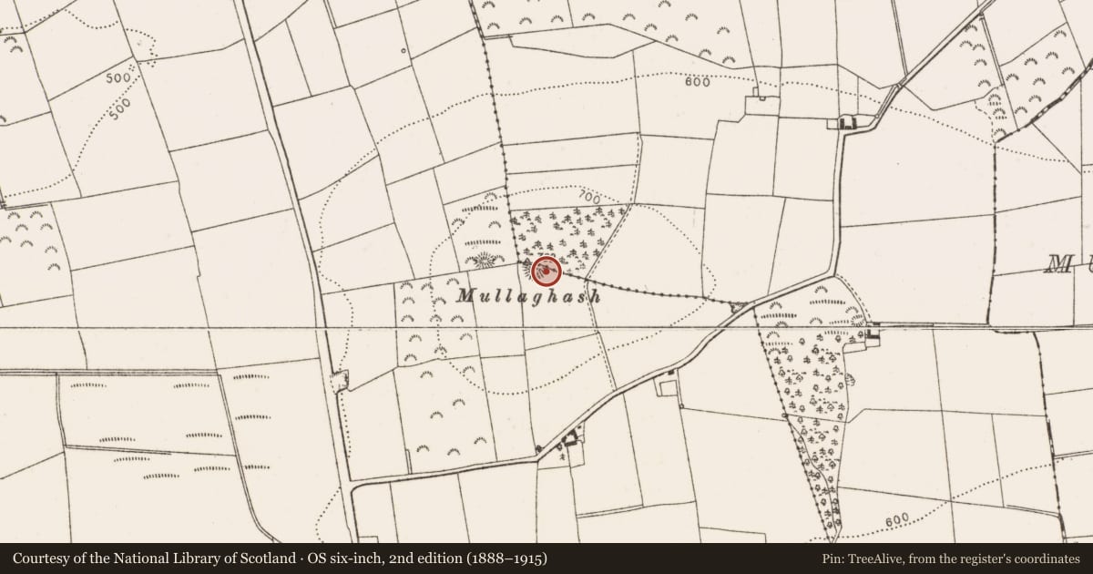 Ordnance Survey six-inch map, 2nd edition (1888–1915) covering the location of Barrow - unclassified, Belpatrick, County Louth, with a pin at the register's coordinates