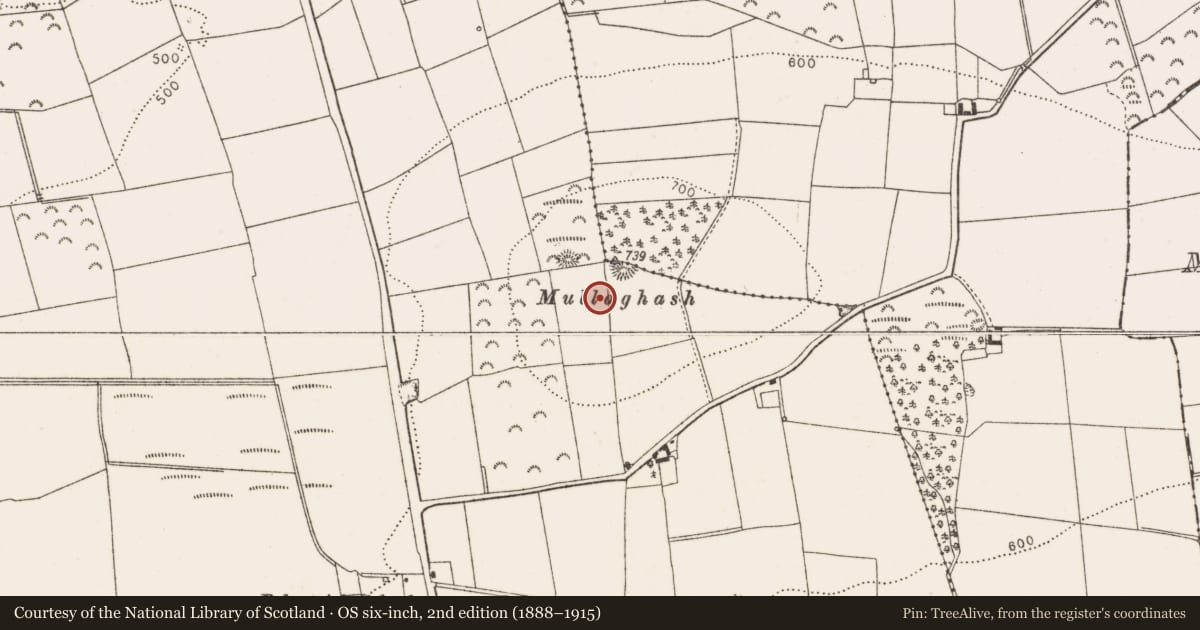 Ordnance Survey six-inch map, 2nd edition (1888–1915) covering the location of Souterrain, Belpatrick, County Louth, with a pin at the register's coordinates