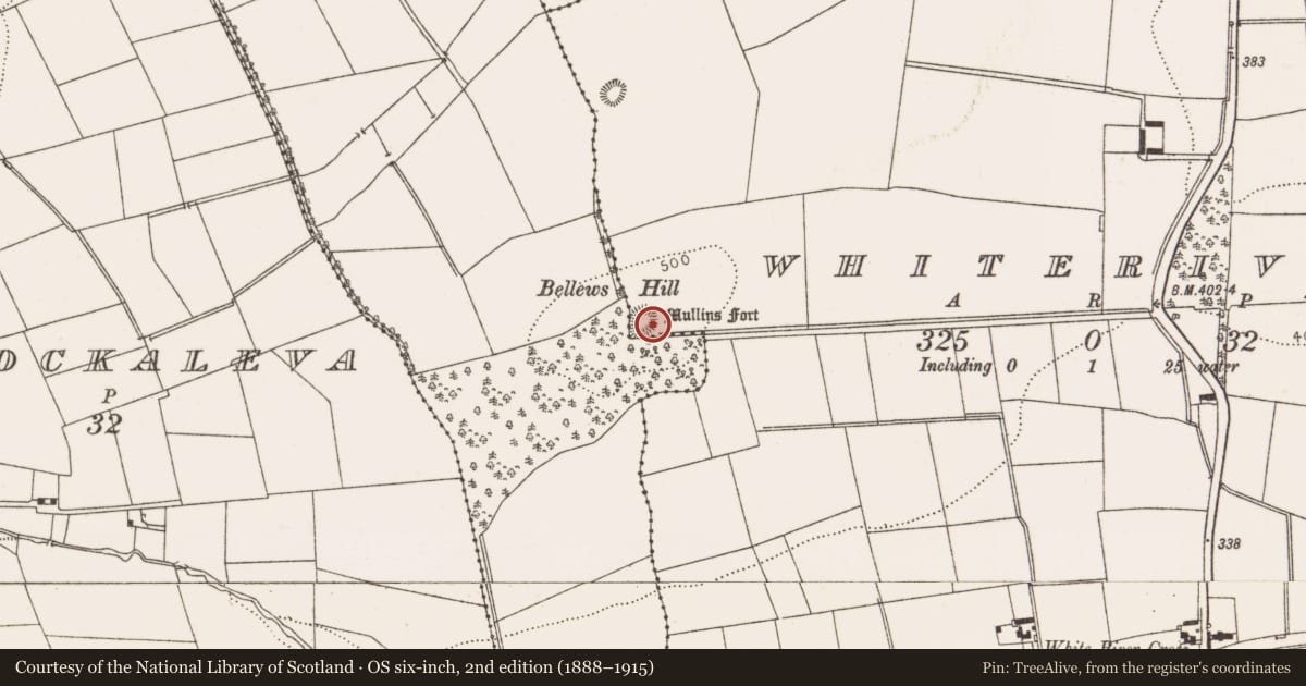 Ordnance Survey six-inch map, 2nd edition (1888–1915) covering the location of Ringfort - rath, Whiteriver, County Louth, with a pin at the register's coordinates