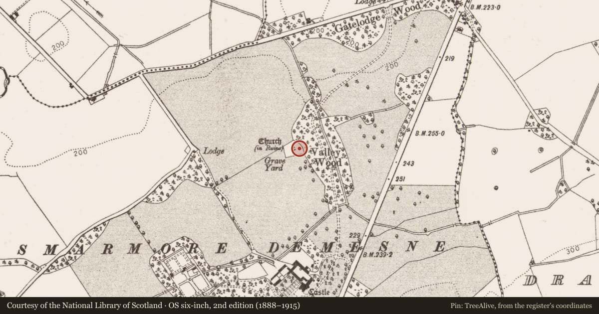 Ordnance Survey six-inch map, 2nd edition (1888–1915) covering the location of Cross-slab, Smarmore, County Louth, with a pin at the register's coordinates