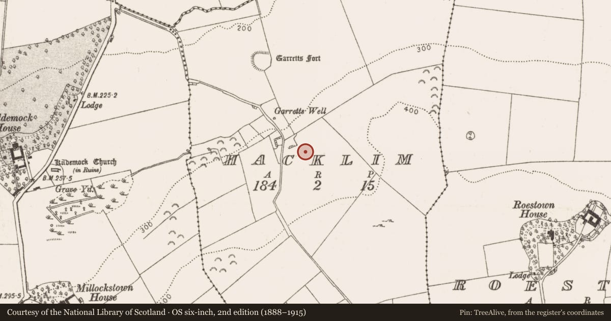 Ordnance Survey six-inch map, 2nd edition (1888–1915) covering the location of Cross-slab, Hacklim, County Louth, with a pin at the register's coordinates