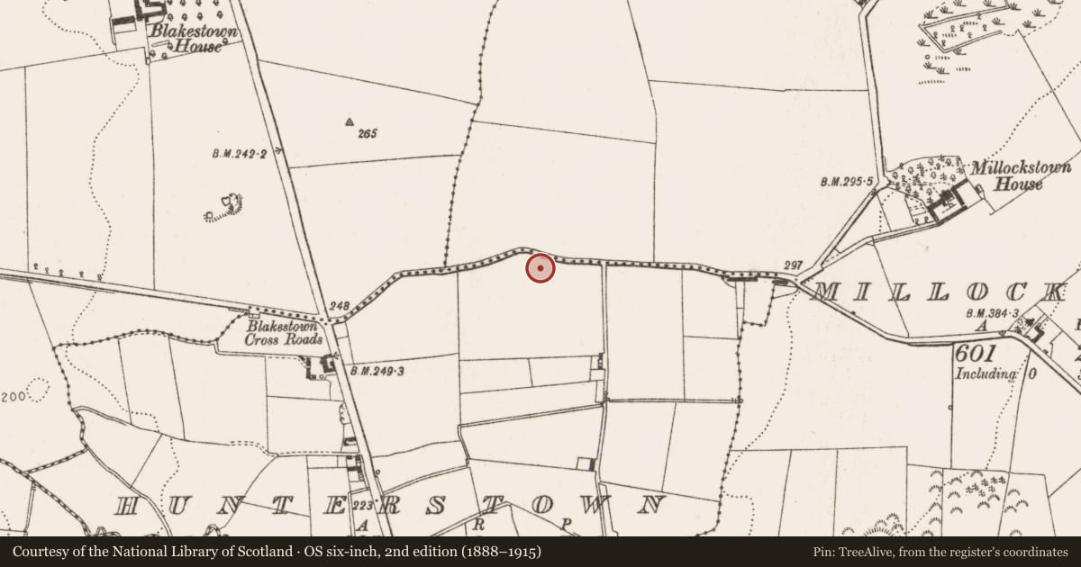 Ordnance Survey six-inch map, 2nd edition (1888–1915) covering the location of Cross-inscribed stone, Hunterstown, County Louth, with a pin at the register's coordinates