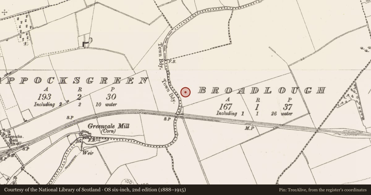 Ordnance Survey six-inch map, 2nd edition (1888–1915) covering the location of Souterrain, Broadlough, County Louth, with a pin at the register's coordinates