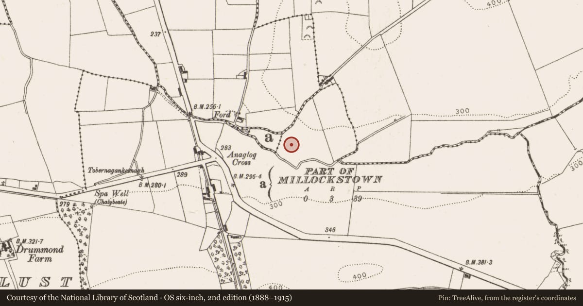 Ordnance Survey six-inch map, 2nd edition (1888–1915) covering the location of Pit-burial, Anaglog, County Louth, with a pin at the register's coordinates