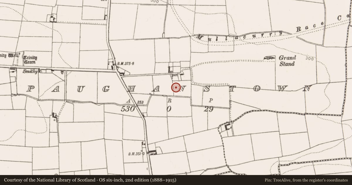 Ordnance Survey six-inch map, 2nd edition (1888–1915) covering the location of Castle - unclassified, Paughanstown (Ardee by, County Louth, with a pin at the register's coordinates