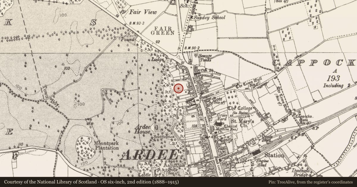 Ordnance Survey six-inch map, 2nd edition (1888–1915) covering the location of Town defences, Townparks, County Louth, with a pin at the register's coordinates