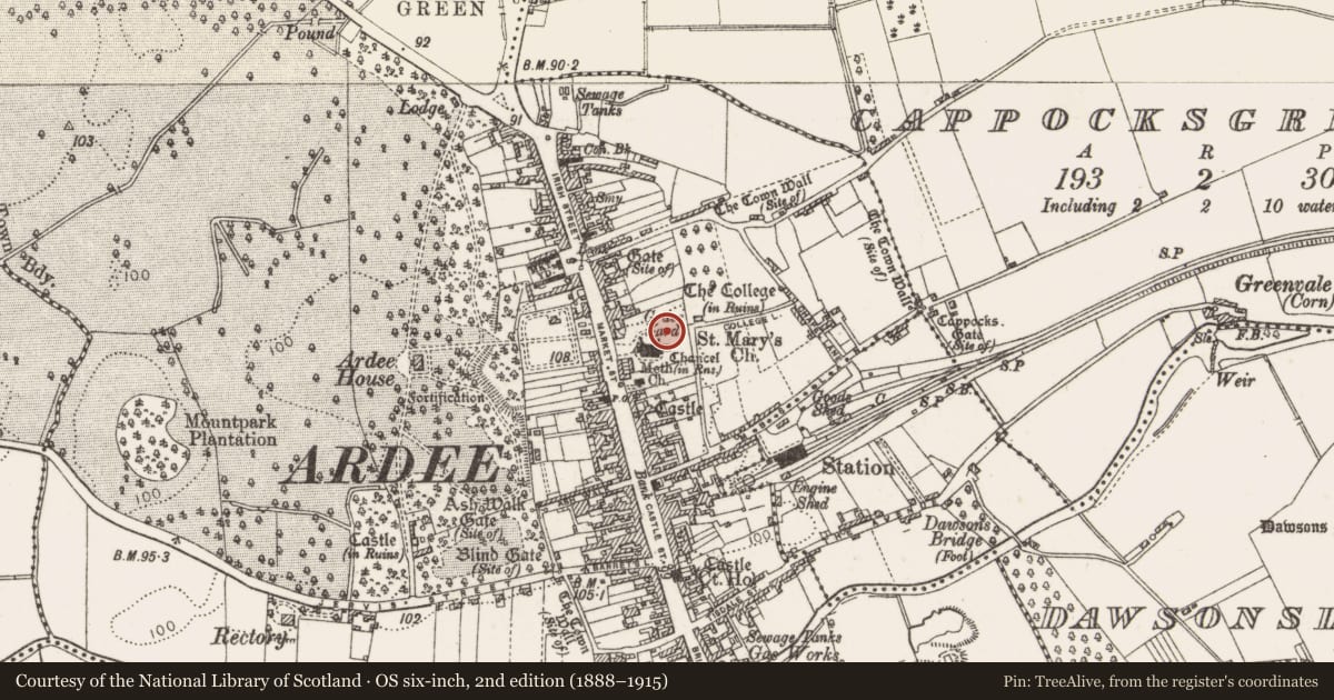 Ordnance Survey six-inch map, 2nd edition (1888–1915) covering the location of Graveyard, Townparks, County Louth, with a pin at the register's coordinates