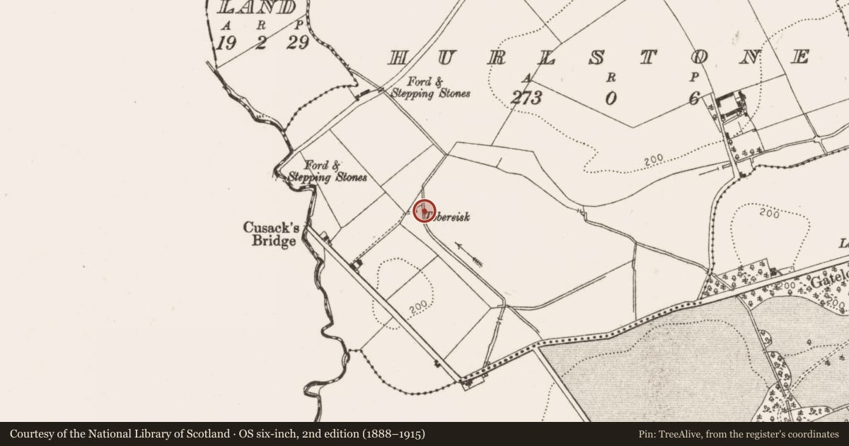 Ordnance Survey six-inch map, 2nd edition (1888–1915) covering the location of Ritual site - holy well, Hurlstone, County Louth, with a pin at the register's coordinates
