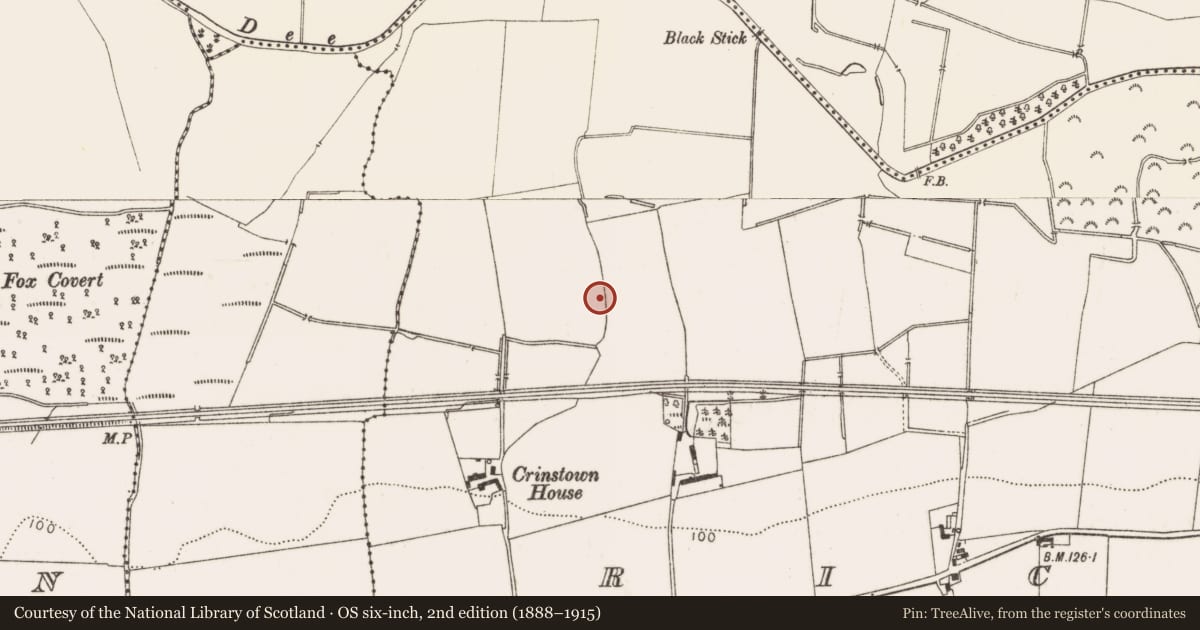 Ordnance Survey six-inch map, 2nd edition (1888–1915) covering the location of House - Neolithic, Richardstown (Ardee By., Richardstown Par.), County Louth, with a pin at the register's coordinates