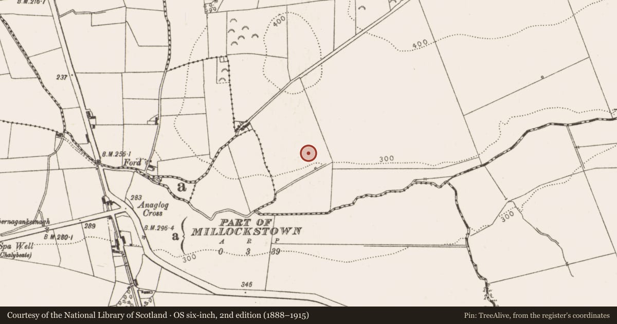 Ordnance Survey six-inch map, 2nd edition (1888–1915) covering the location of Souterrain, Millockstown, County Louth, with a pin at the register's coordinates