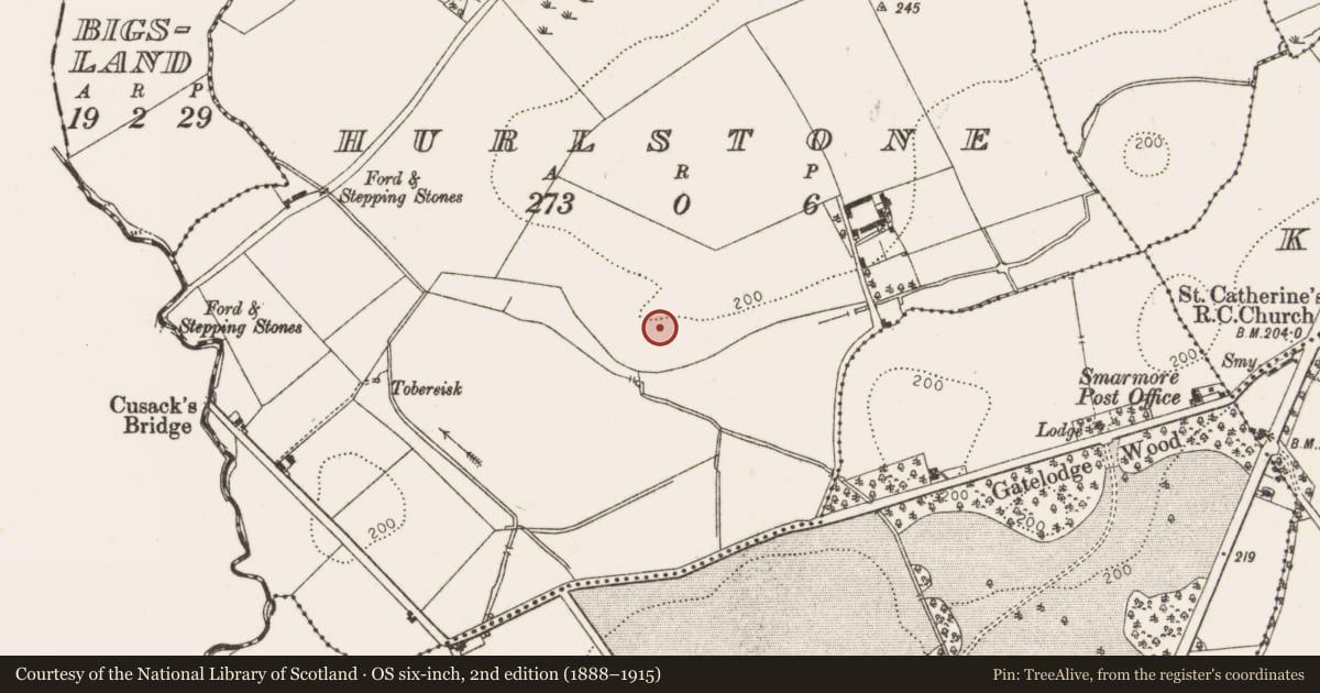 Ordnance Survey six-inch map, 2nd edition (1888–1915) covering the location of Enclosure, Hurlstone, County Louth, with a pin at the register's coordinates