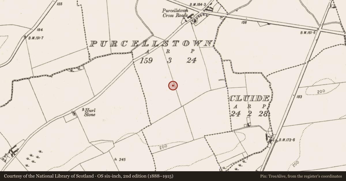 Ordnance Survey six-inch map, 2nd edition (1888–1915) covering the location of Enclosure, Purcellstown, County Louth, with a pin at the register's coordinates