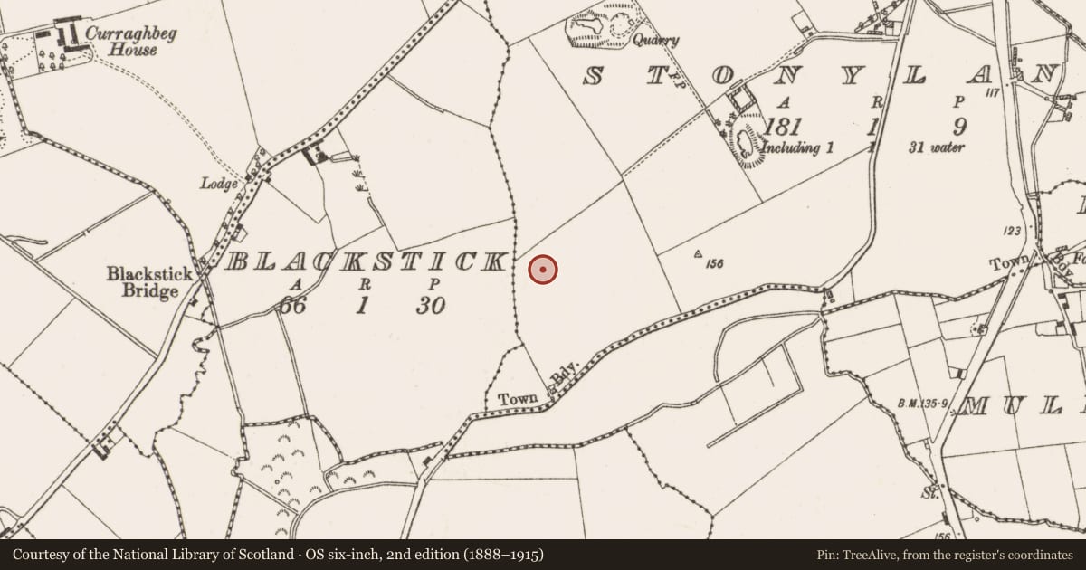 Ordnance Survey six-inch map, 2nd edition (1888–1915) covering the location of Enclosure, Stonylane, County Louth, with a pin at the register's coordinates