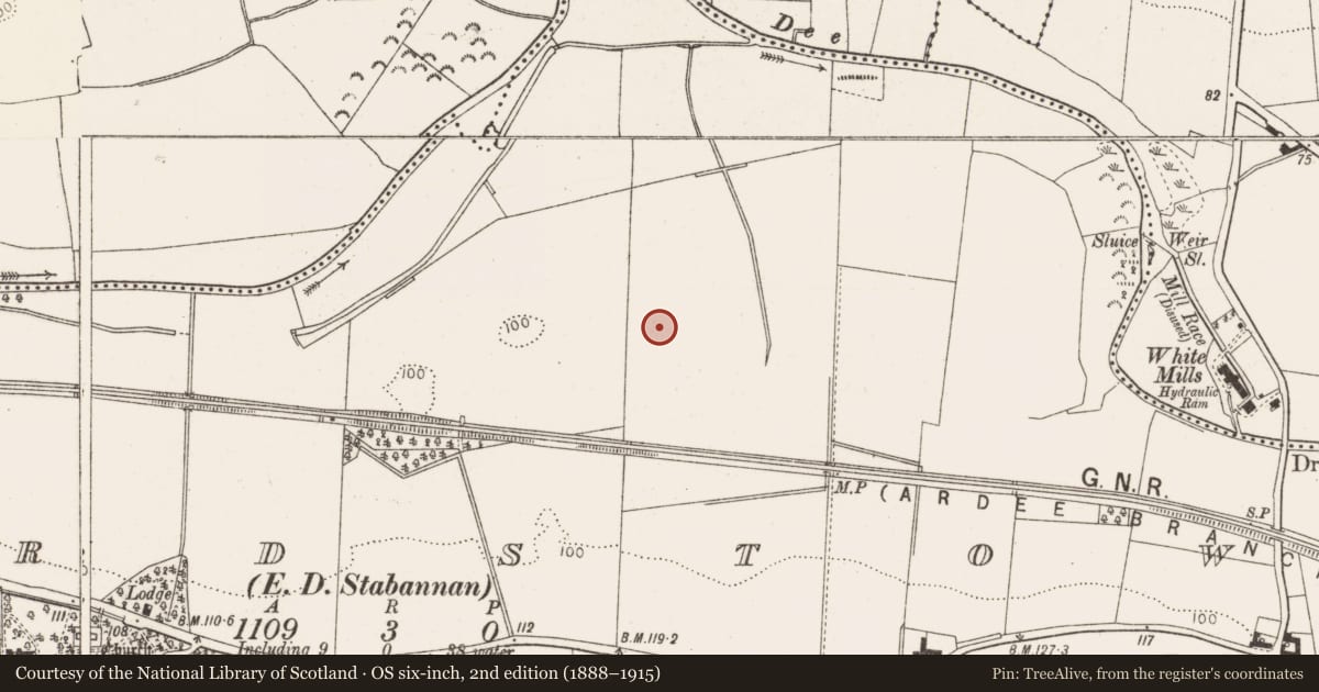 Ordnance Survey six-inch map, 2nd edition (1888–1915) covering the location of Enclosure, Richardstown (Ardee By., Richardstown Par.), County Louth, with a pin at the register's coordinates