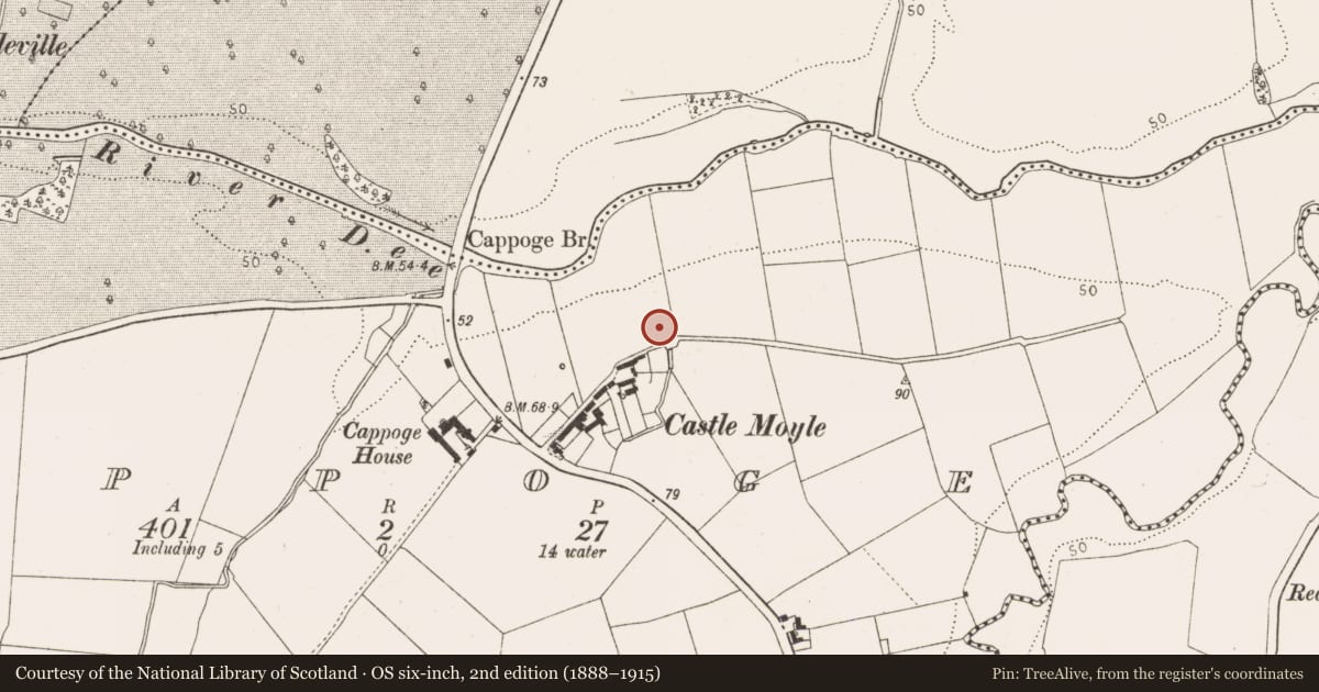 Ordnance Survey six-inch map, 2nd edition (1888–1915) covering the location of Ritual site - holy well, Cappoge, County Louth, with a pin at the register's coordinates