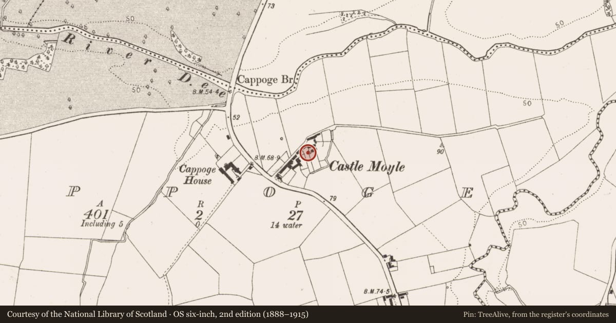 Ordnance Survey six-inch map, 2nd edition (1888–1915) covering the location of Cist, Cappoge, County Louth, with a pin at the register's coordinates