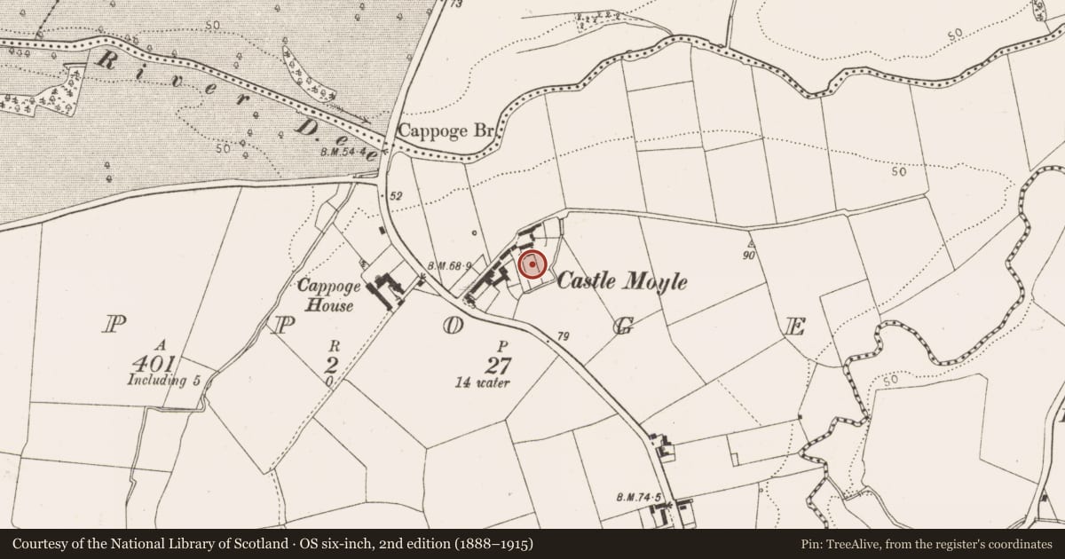 Ordnance Survey six-inch map, 2nd edition (1888–1915) covering the location of Castle - unclassified, Cappoge, County Louth, with a pin at the register's coordinates