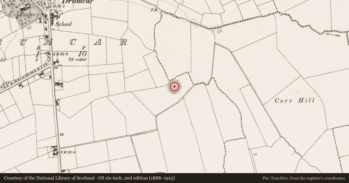 Ordnance Survey six-inch map, 2nd edition (1888–1915) covering the location of Earthwork, Drumcar, County Louth, with a pin at the register's coordinates