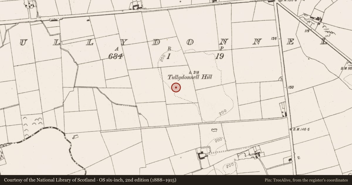 Ordnance Survey six-inch map, 2nd edition (1888–1915) covering the location of Castle - unclassified, Tullydonnell, County Louth, with a pin at the register's coordinates