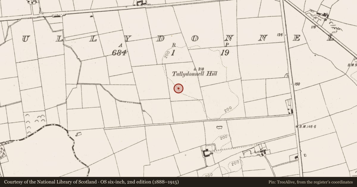 Ordnance Survey six-inch map, 2nd edition (1888–1915) covering the location of Souterrain, Tullydonnell, County Louth, with a pin at the register's coordinates