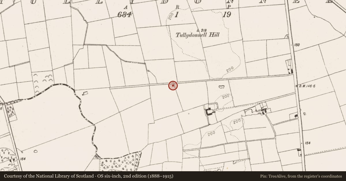 Ordnance Survey six-inch map, 2nd edition (1888–1915) covering the location of Ritual site - holy well, Tullydonnell, County Louth, with a pin at the register's coordinates